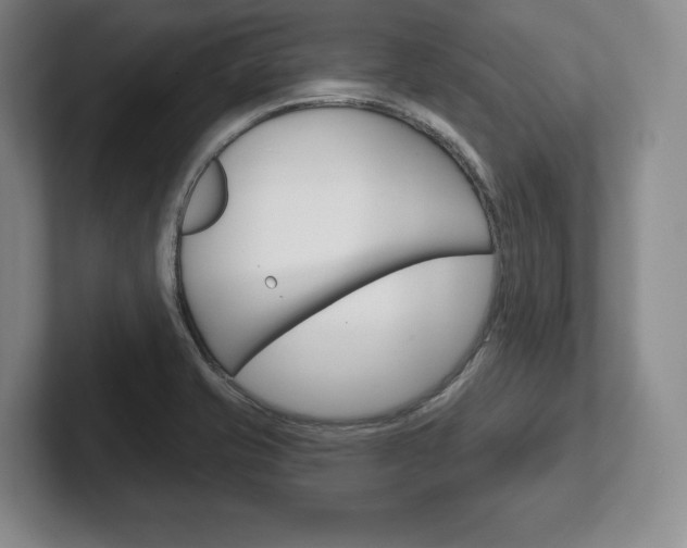 X0000102541421200808081041