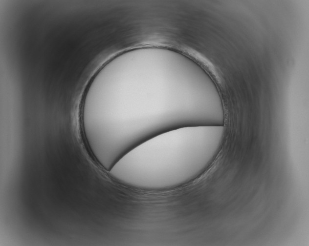 X0000102541423200808081041