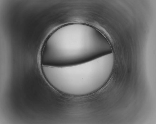 X0000102541424200808081041