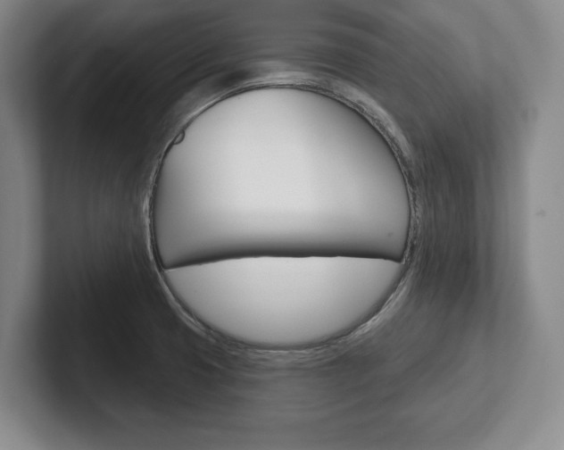 X0000102541425200808081041