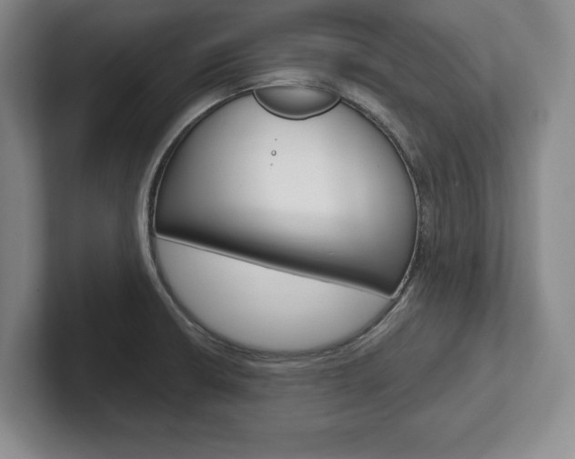 X0000102541426200808081041