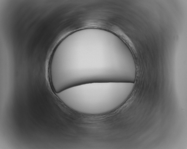 X0000102541427200808081041