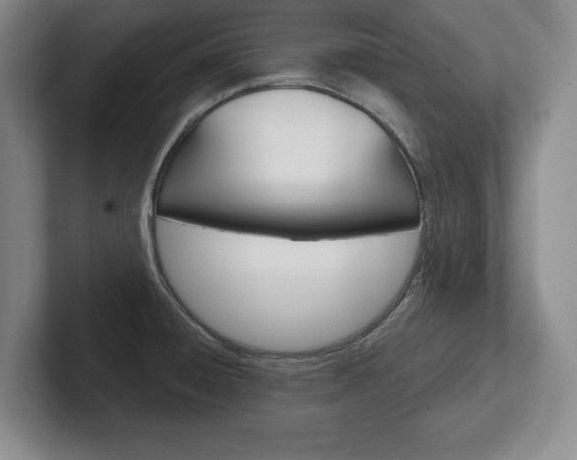 X0000102541428200808081041