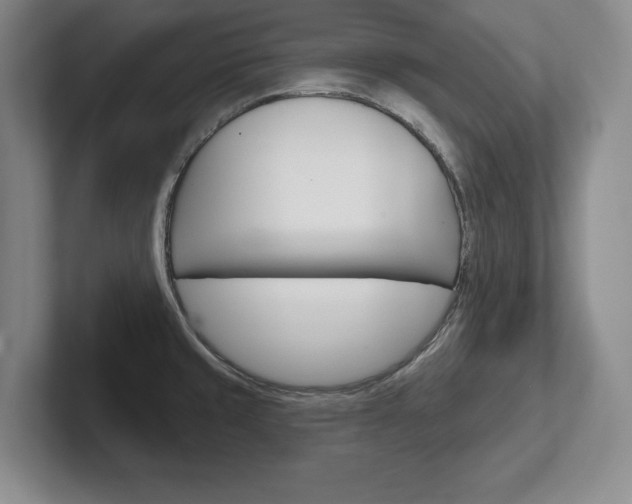 X0000102541429200808081041