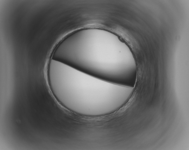 X0000102541430200808081041