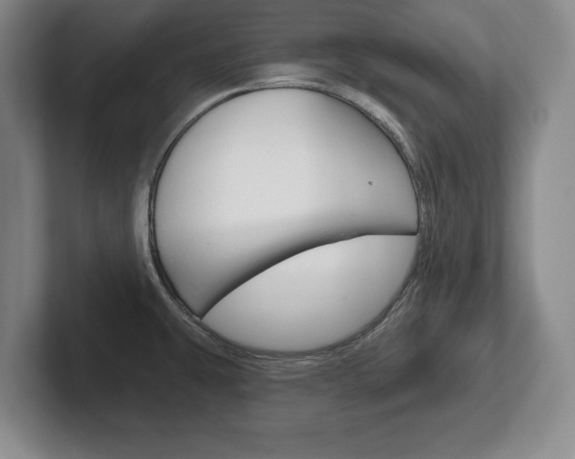 X0000102541431200808081041