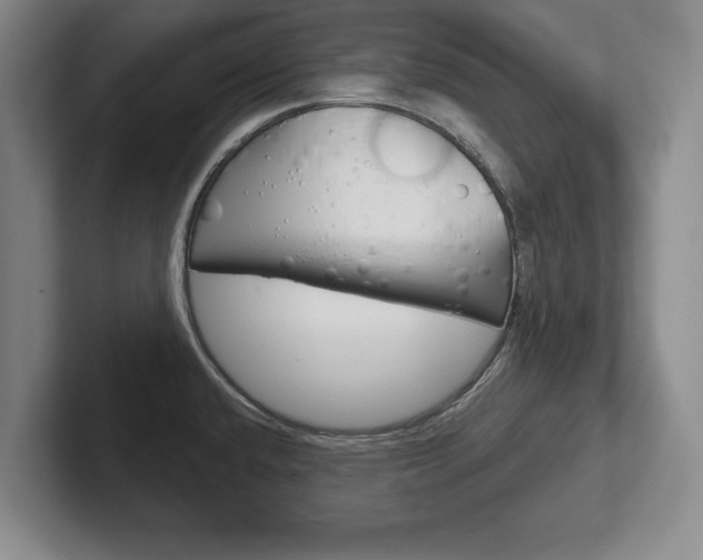 X0000102541432200808081041