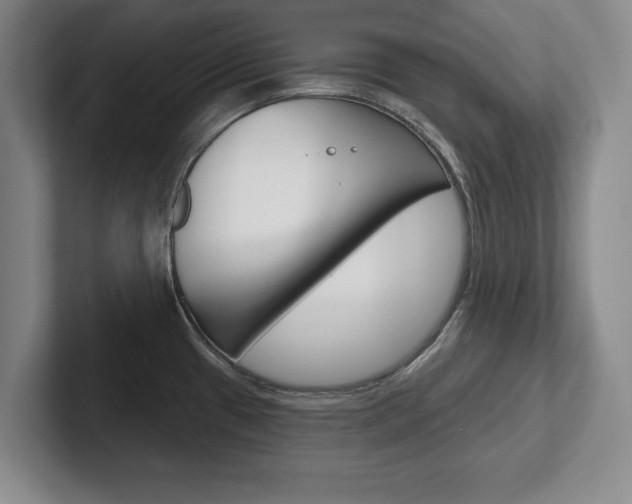 X0000102541433200808081041
