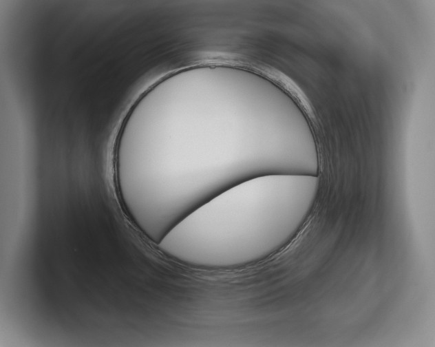X0000102541435200808081041