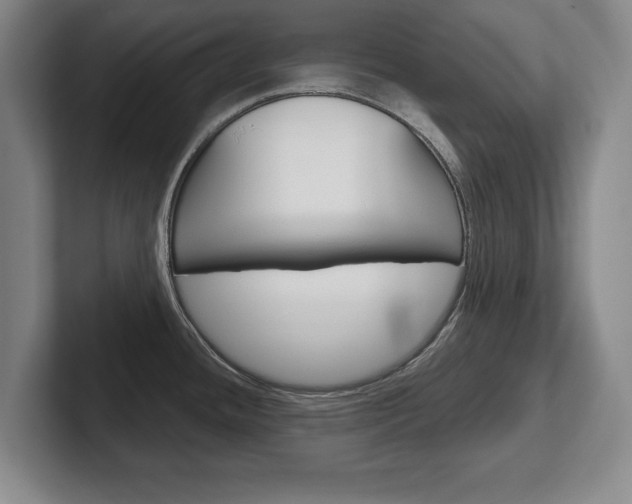 X0000102541436200808081041