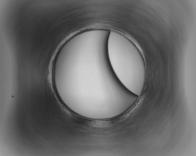 X0000102541437200808081041