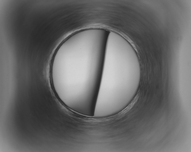 X0000102541438200808081041