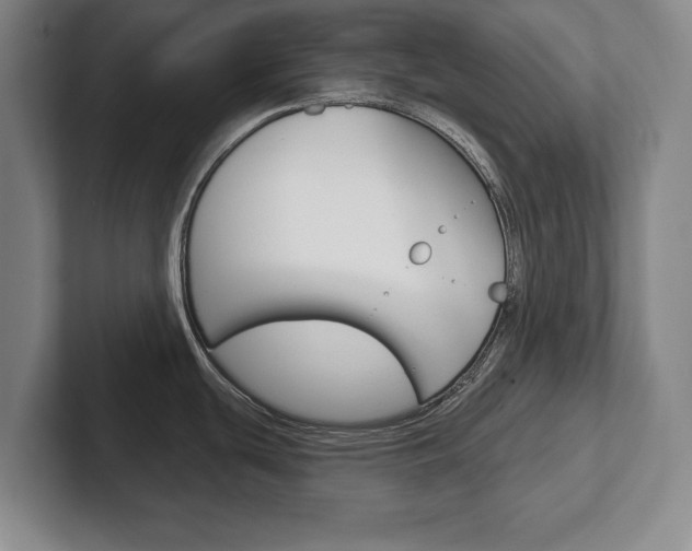 X0000102541439200808081041