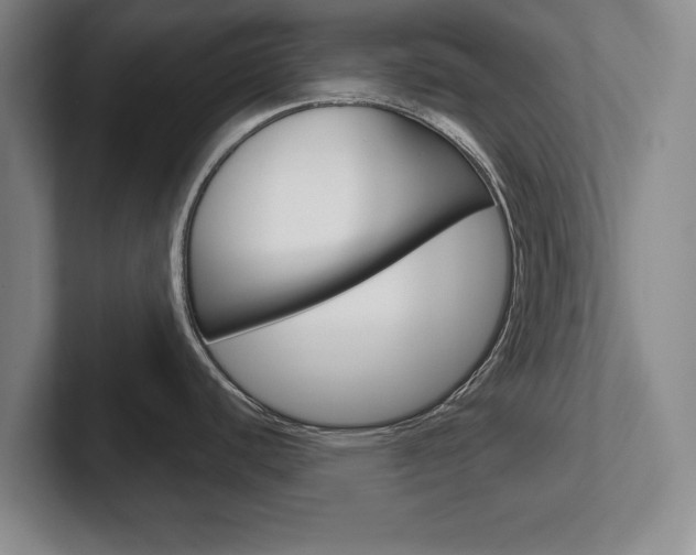 X0000102541440200808081041