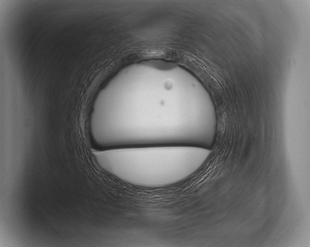 X0000102541441200808081040