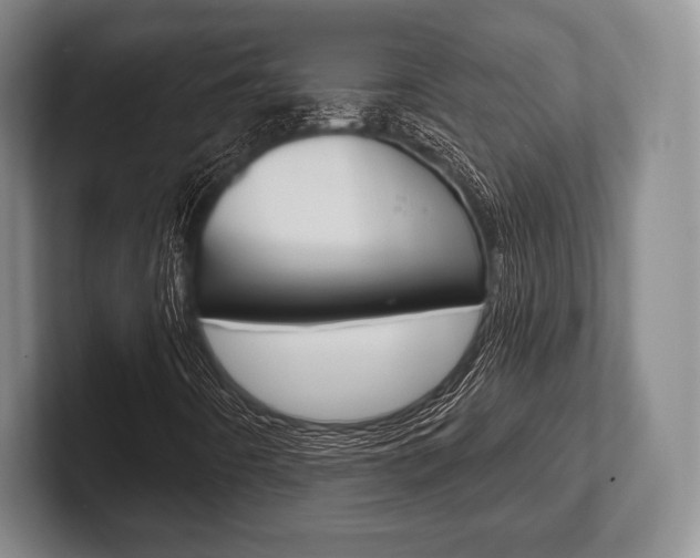 X0000102541442200808081040