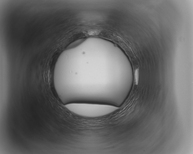 X0000102541443200808081040