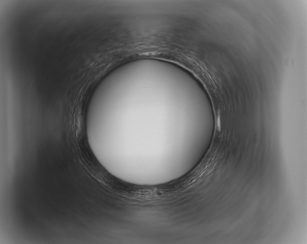 X0000102541444200808081040