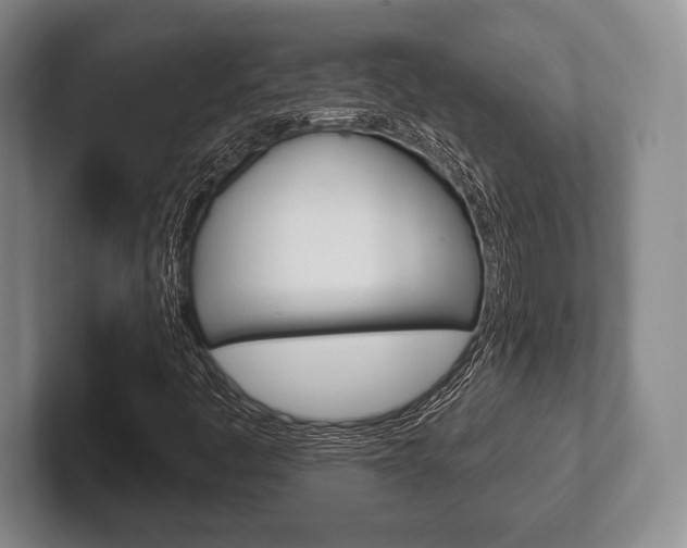 X0000102541445200808081040