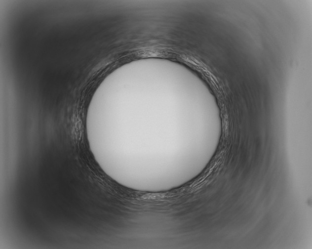 X0000102541446200808081040