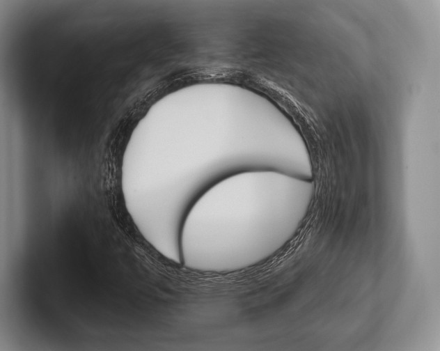 X0000102541447200808081040