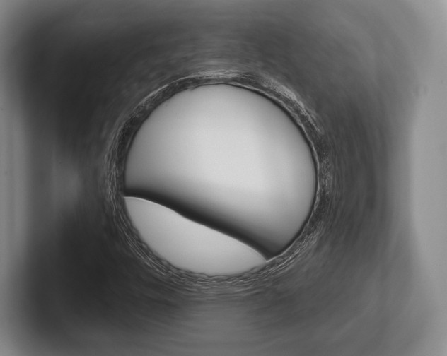 X0000102541448200808081040