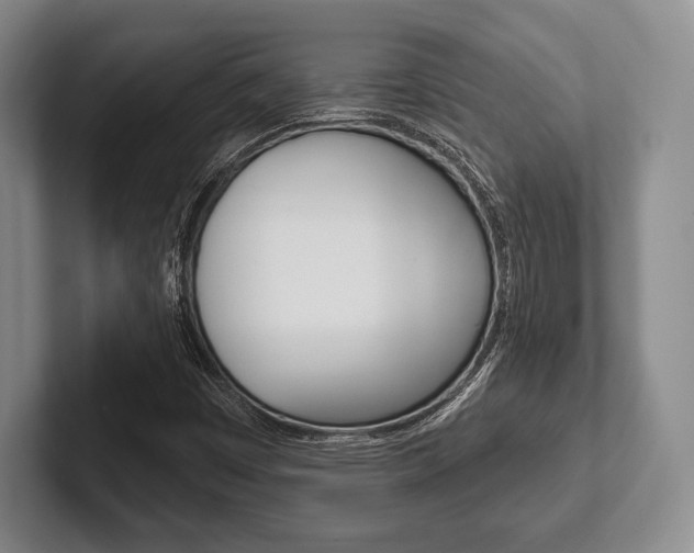 X0000102541449200808081040