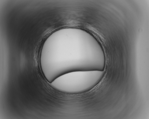 X0000102541451200808081040
