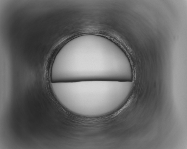X0000102541453200808081040