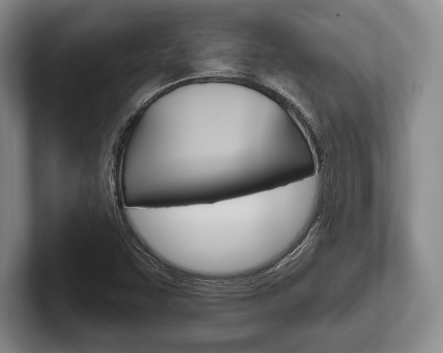 X0000102541455200808081040