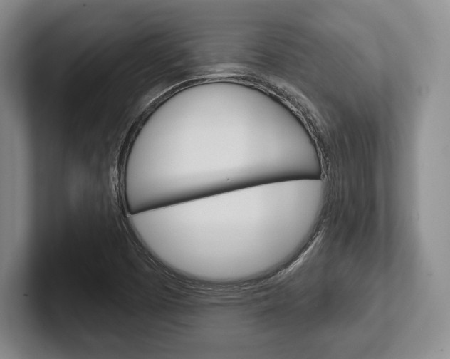 X0000102541457200808081040