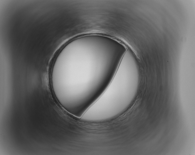 X0000102541460200808081040