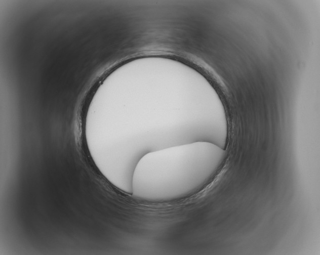 X0000102541461200808081040
