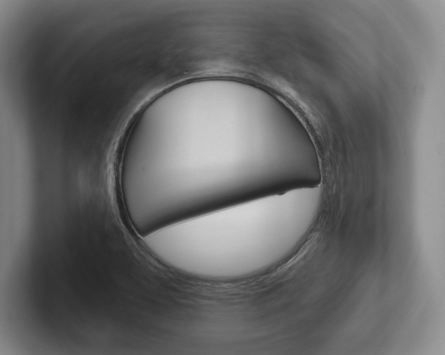 X0000102541463200808081040