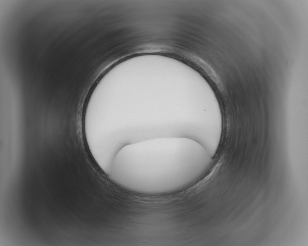 X0000102541465200808081040