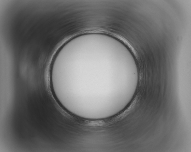 X0000102541466200808081040