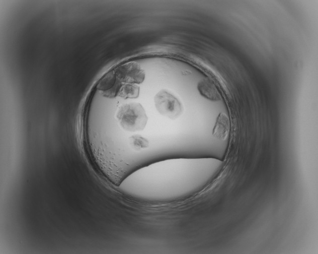 X0000102541467200808081040