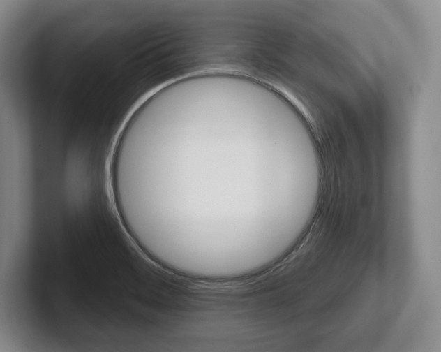 X0000102541468200808081040
