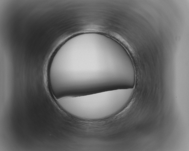 X0000102541469200808081040