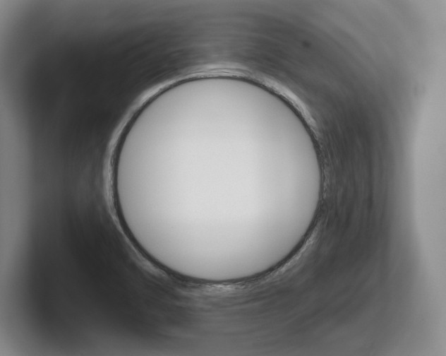 X0000102541470200808081040