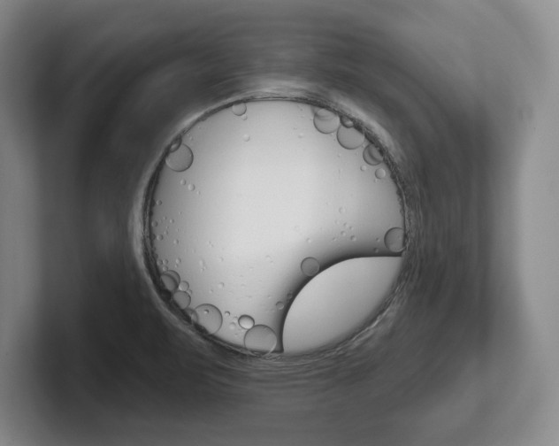 X0000102541471200808081040