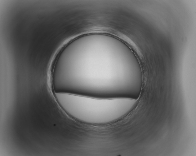 X0000102541472200808081040