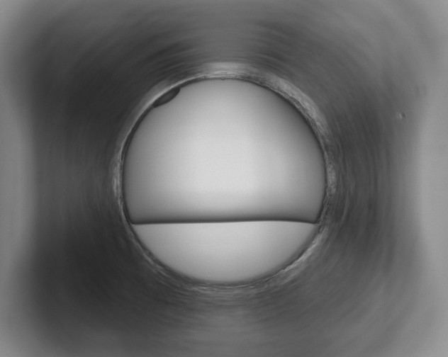 X0000102541473200808081040