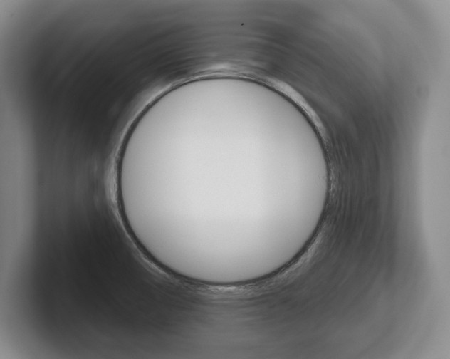 X0000102541474200808081040