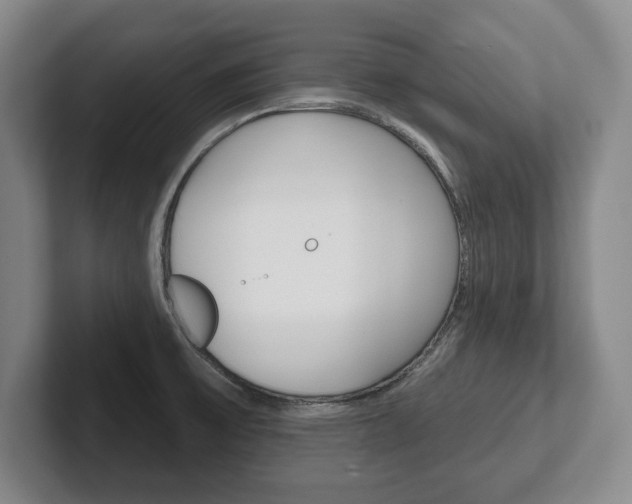 X0000102541475200808081040