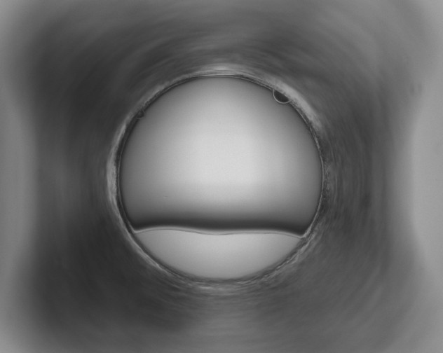 X0000102541476200808081040
