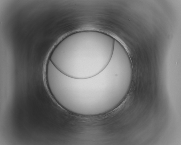 X0000102541477200808081040