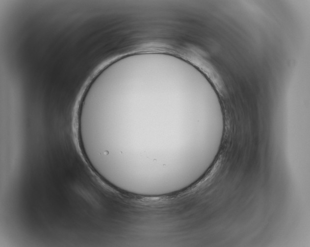 X0000102541478200808081040