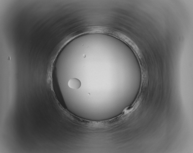 X0000102541481200808081040
