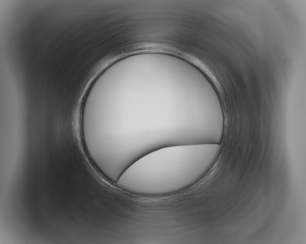 X0000102541482200808081040